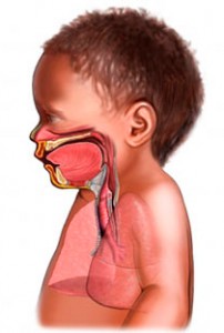 Distrés respiratorio neonatal